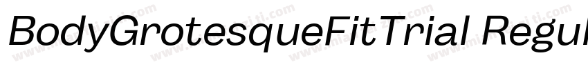 BodyGrotesqueFitTrial Regular字体转换